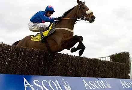 horse race betting oddschecker.